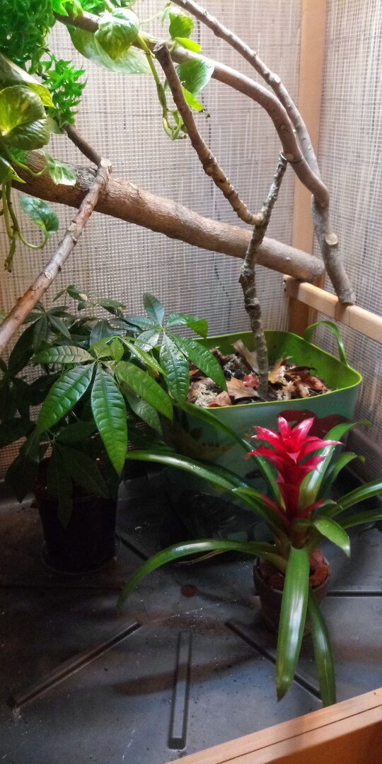 20201110_174713.jpg