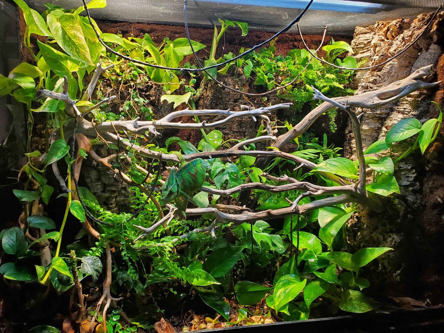 20201112_145603.jpg