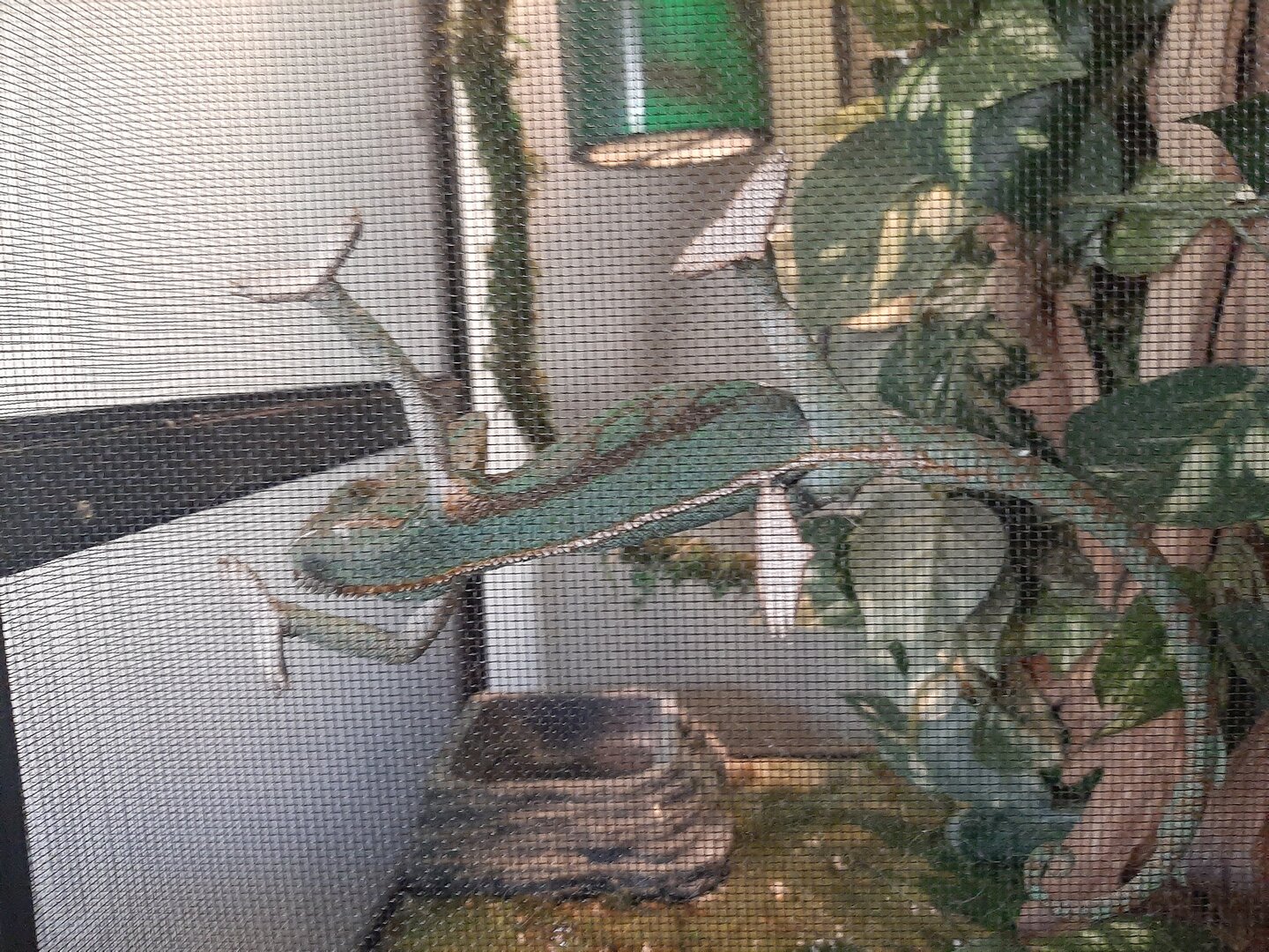 20201116_142138.jpg