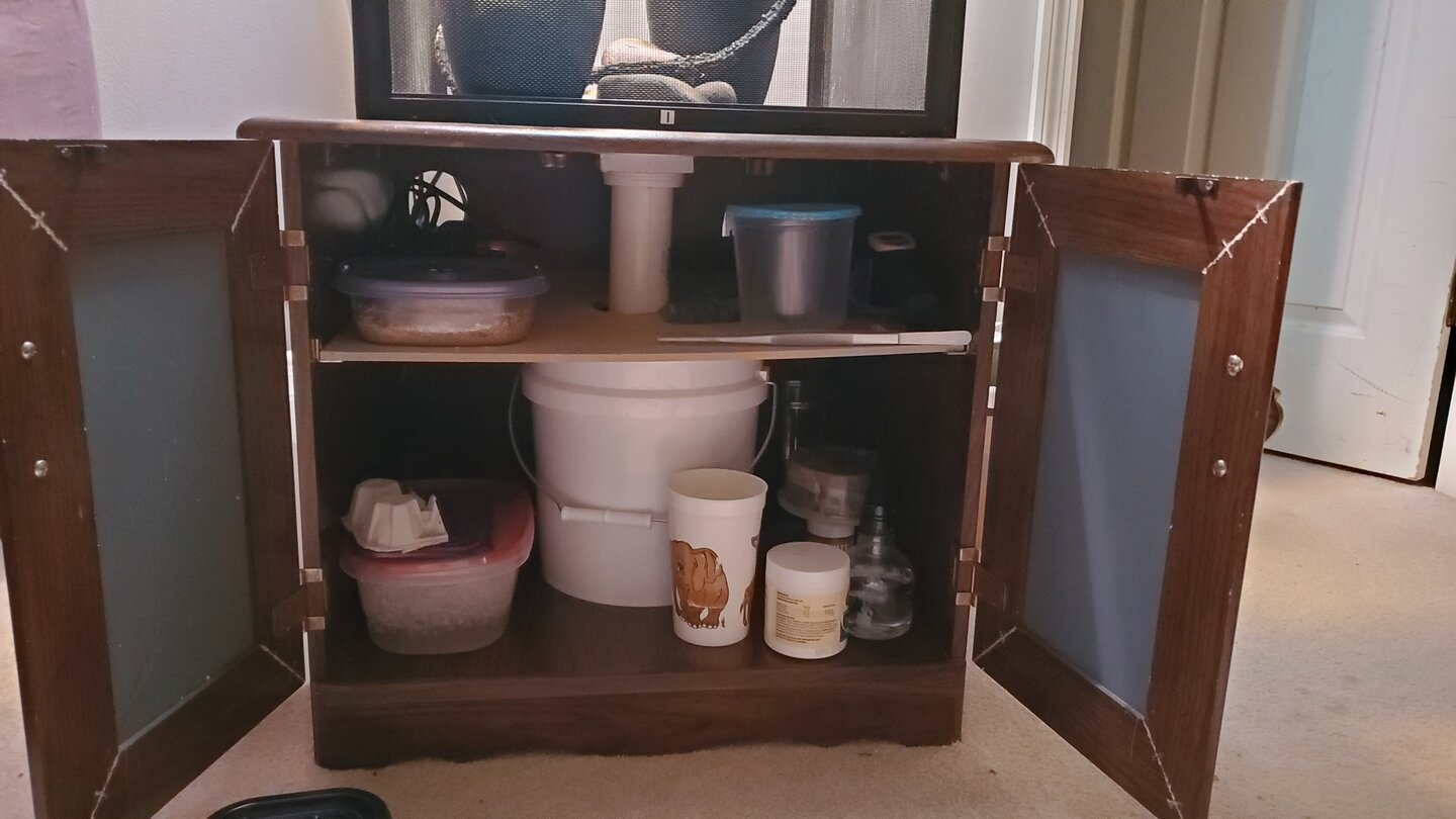 20201203_075138.jpg