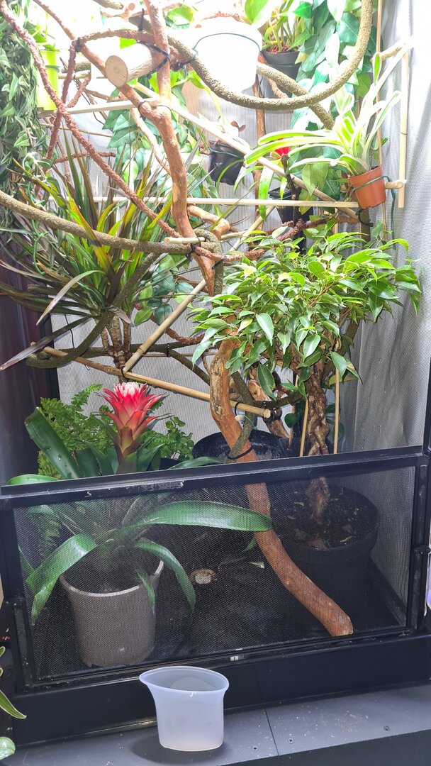 20201204_164608.jpg