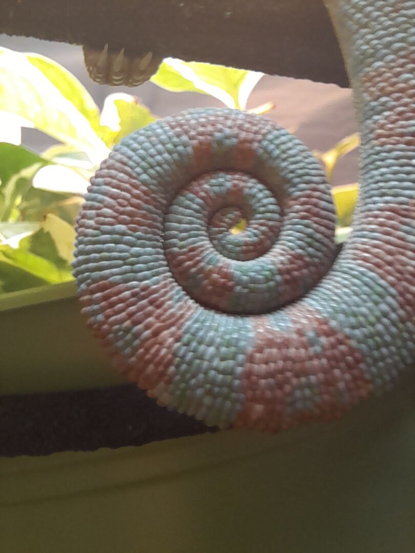 20201208_130219.jpg