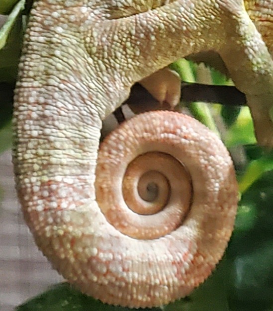 20201211_222025.jpg