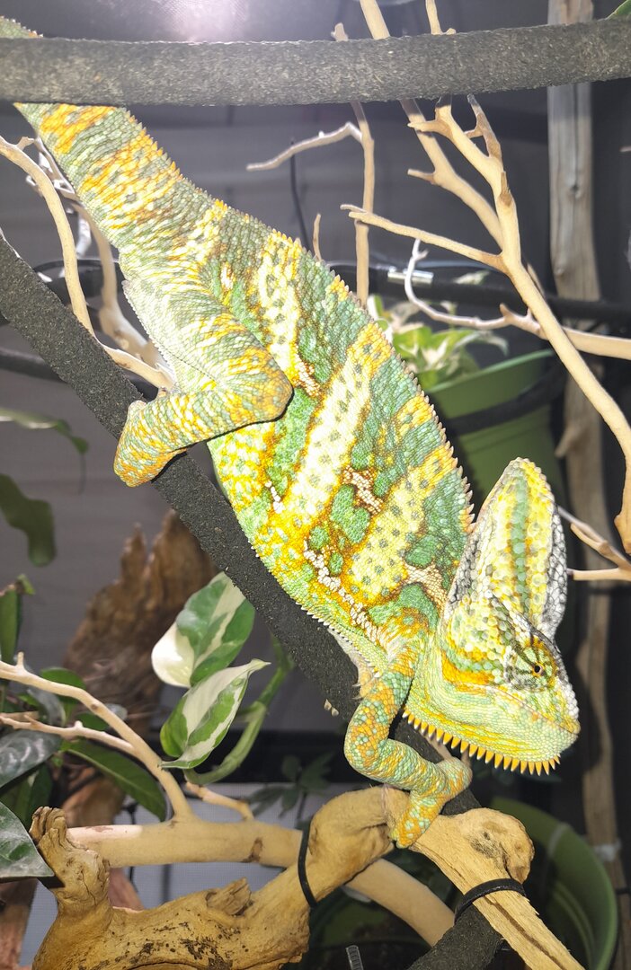 20201213_151244.jpg