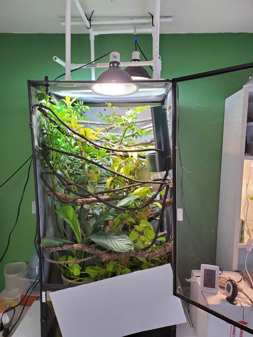 20201216_150404.jpg