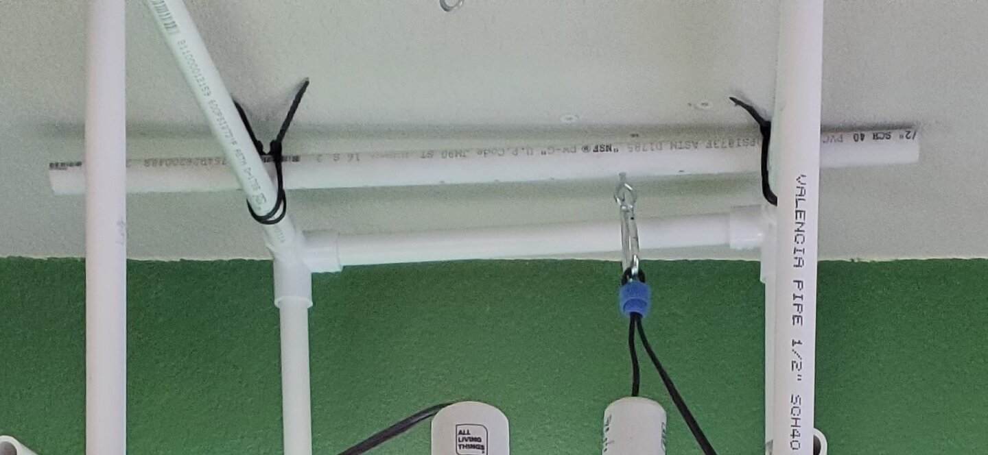 20201216_150404a.jpg