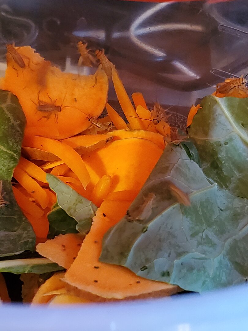 20210117_203428.jpg
