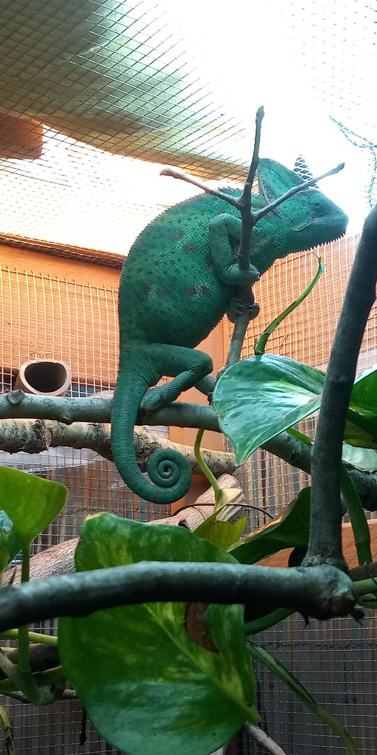 20210127_171856.jpg