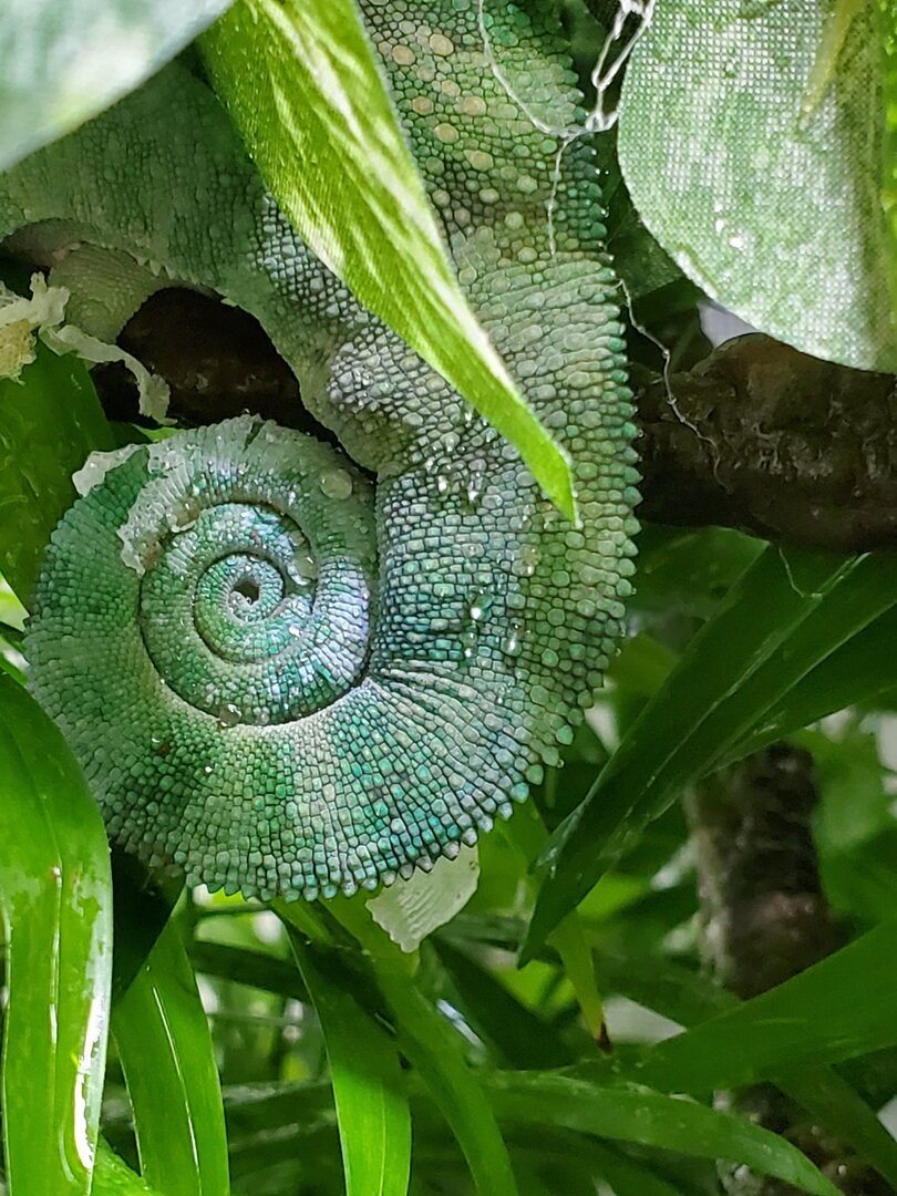 20210205_090000.jpg