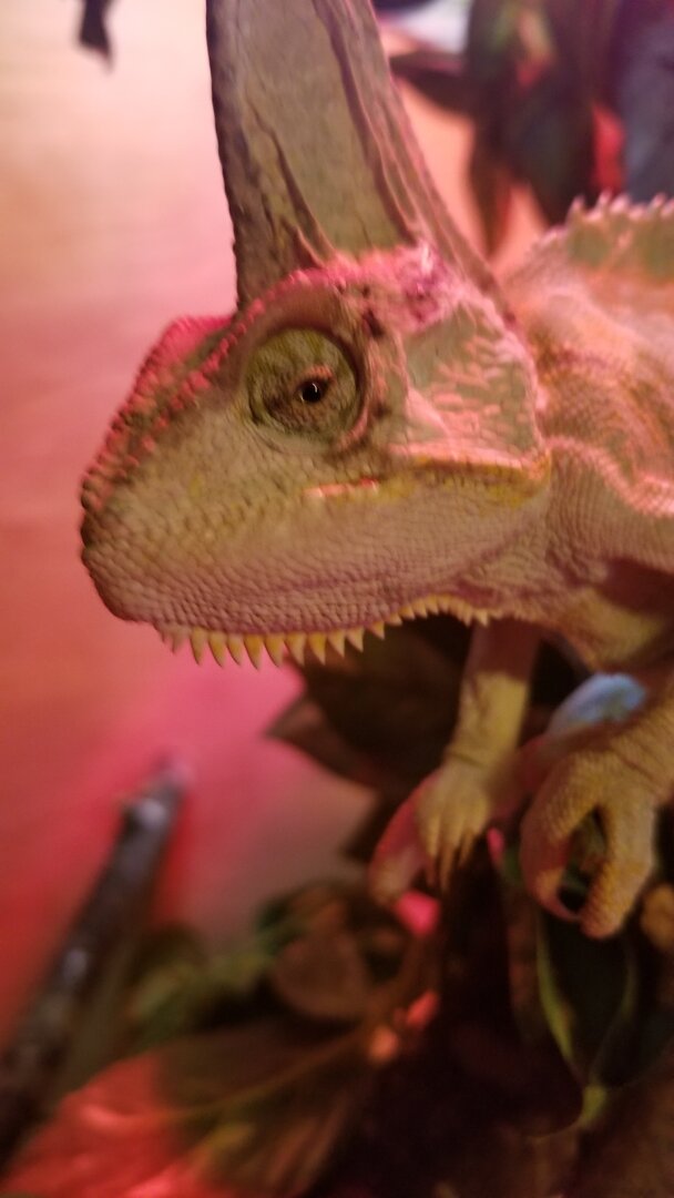 20210215_220417.jpg