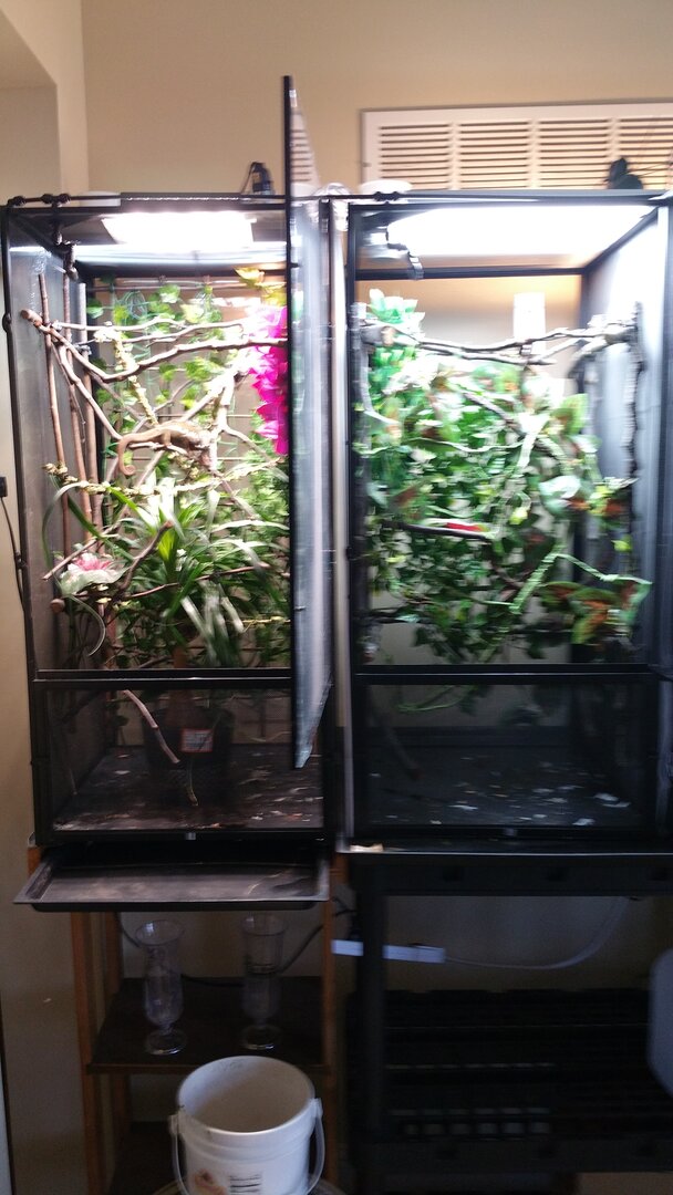 20210227_104346.jpg