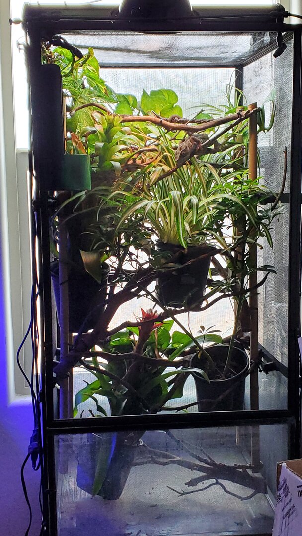 20210416_141602.jpg