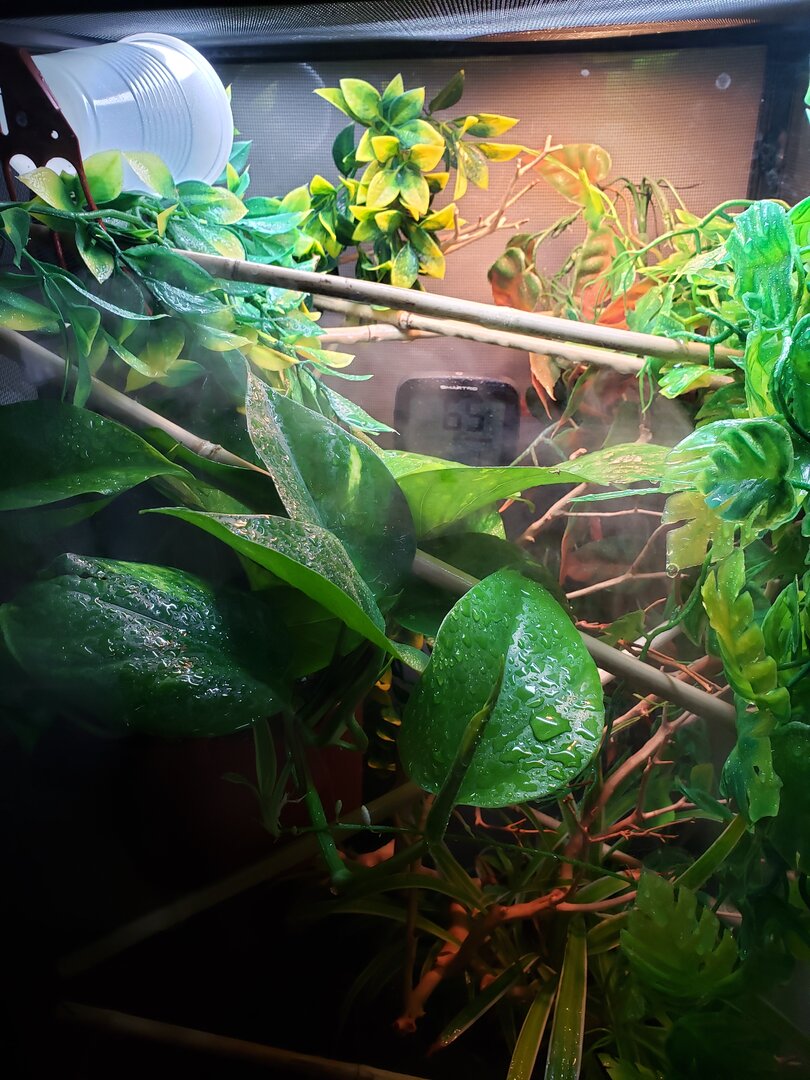 20210511_182152.jpg