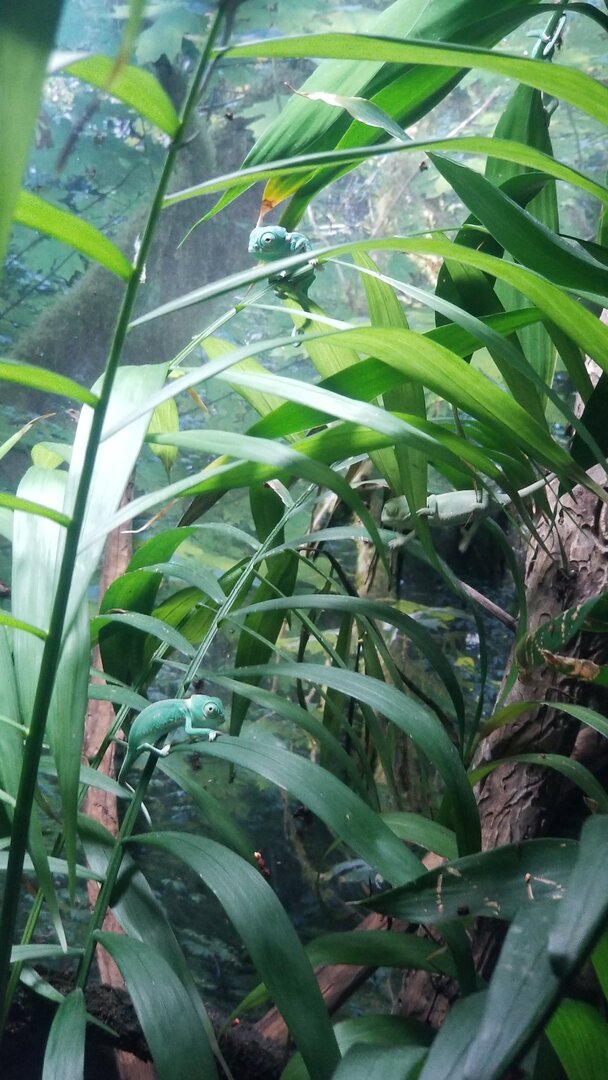 20210614_184646.jpg