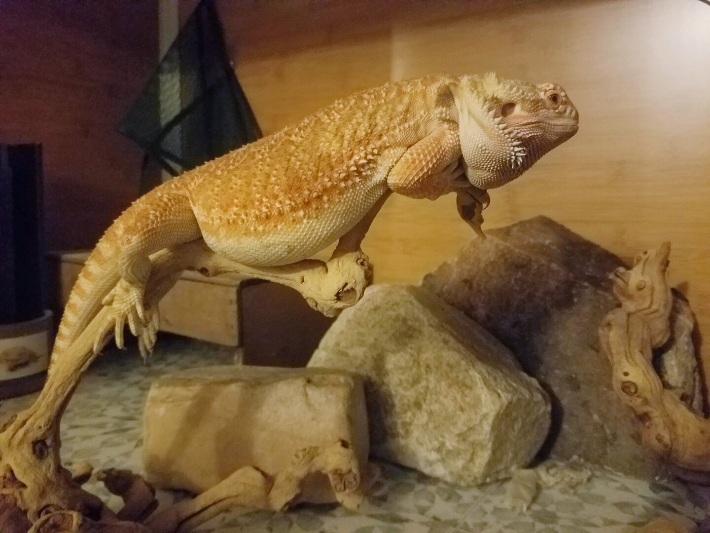 20210712_210015.jpg