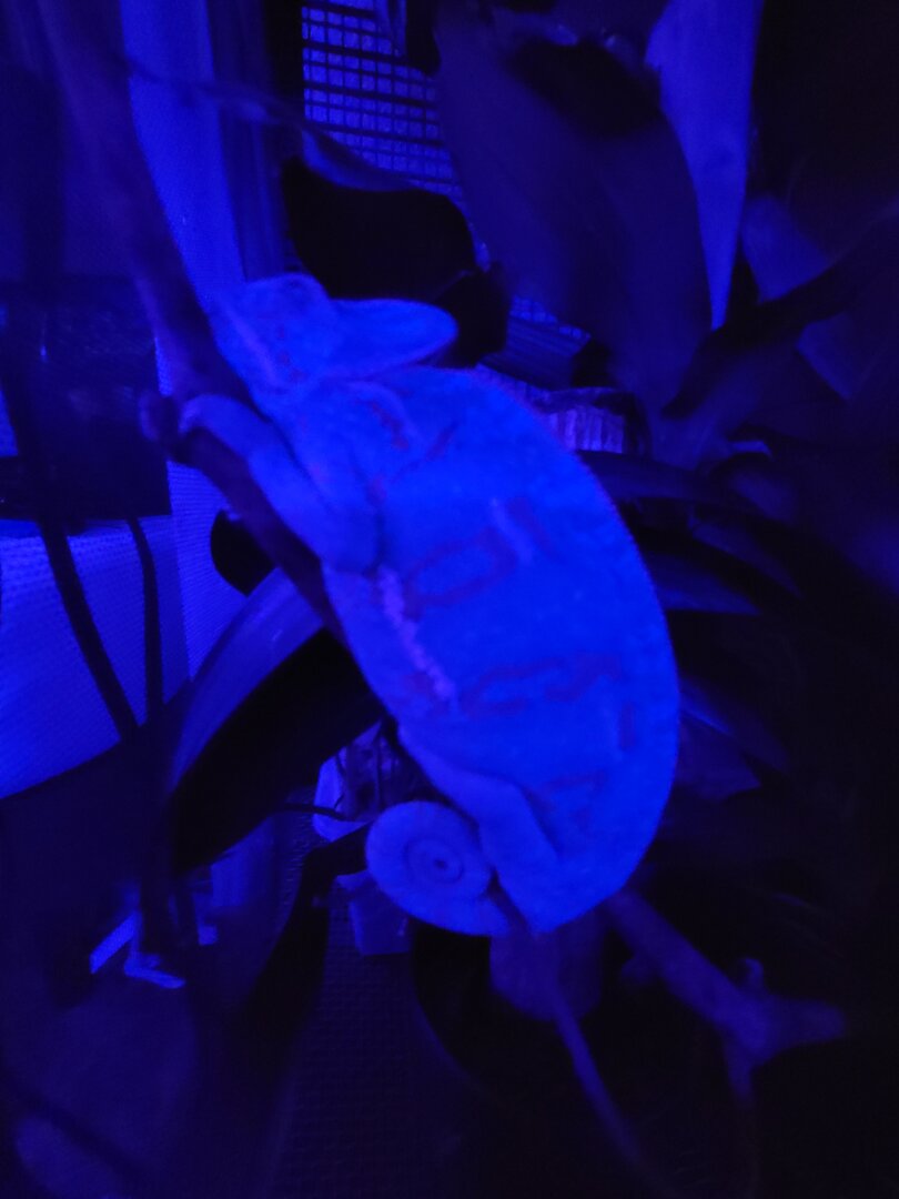 20210815_212511.jpg