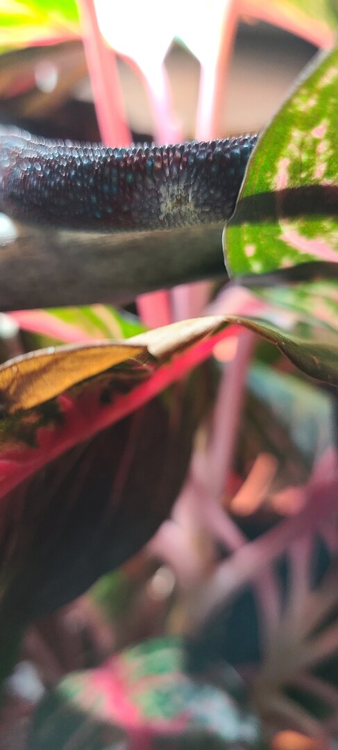 20220222_112829.jpg