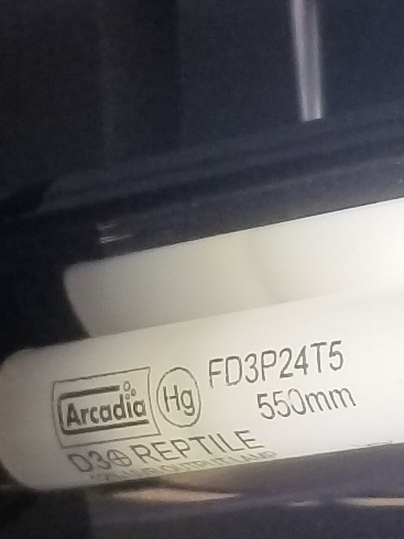 20220415_182912.jpg