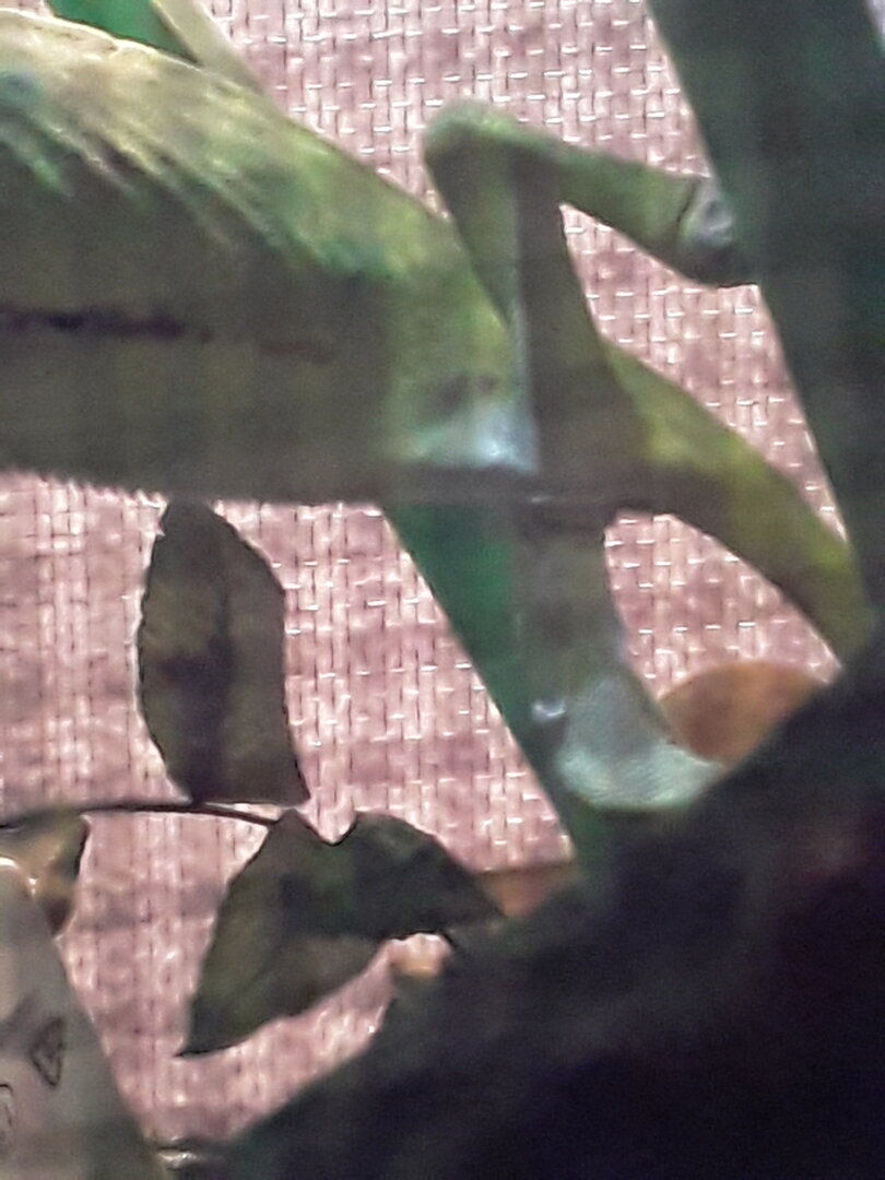 20220613_052451.jpg