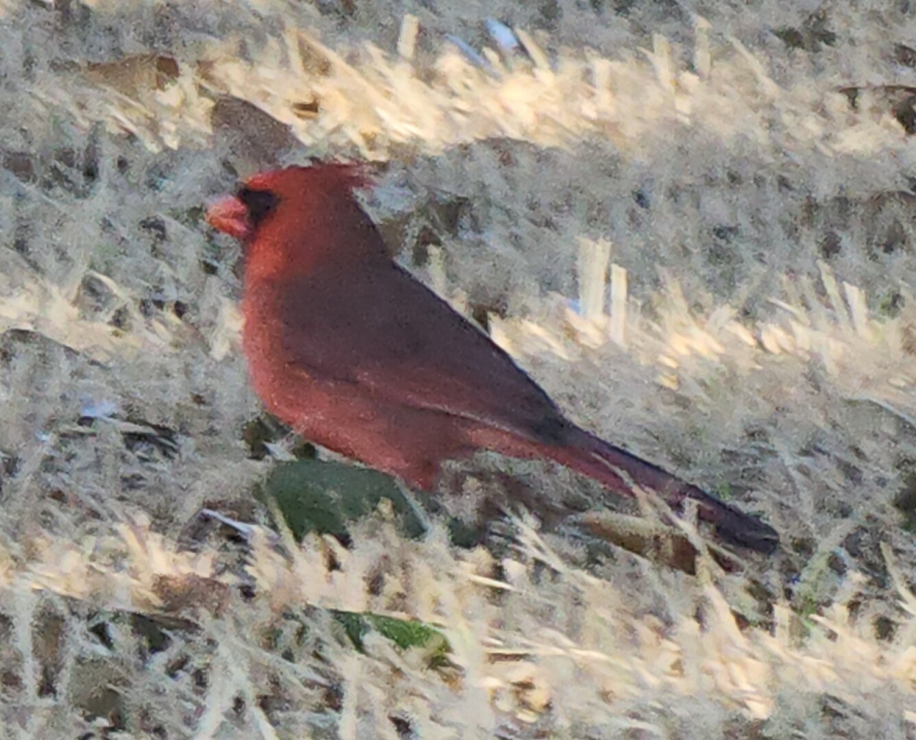 20230127_125725.jpg