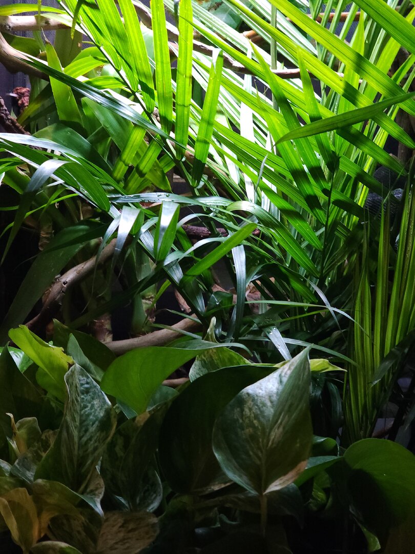 20230401_125340.jpg