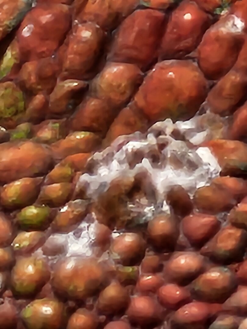 20230519_155609.jpg