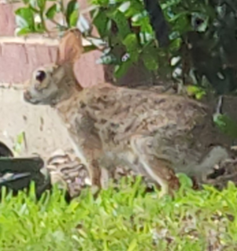 20230521_171727.jpg