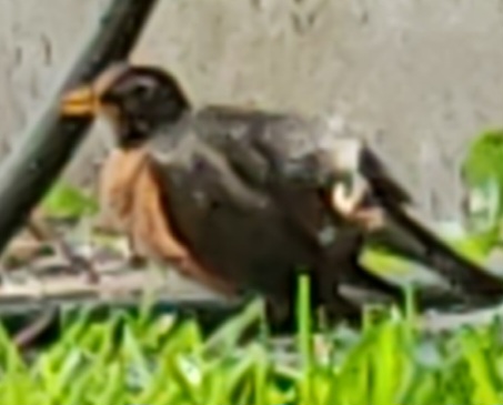 20230525_132249.jpg