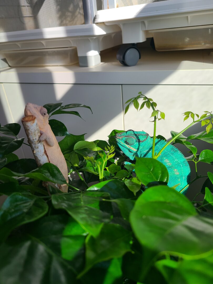 20230603_170403.jpg