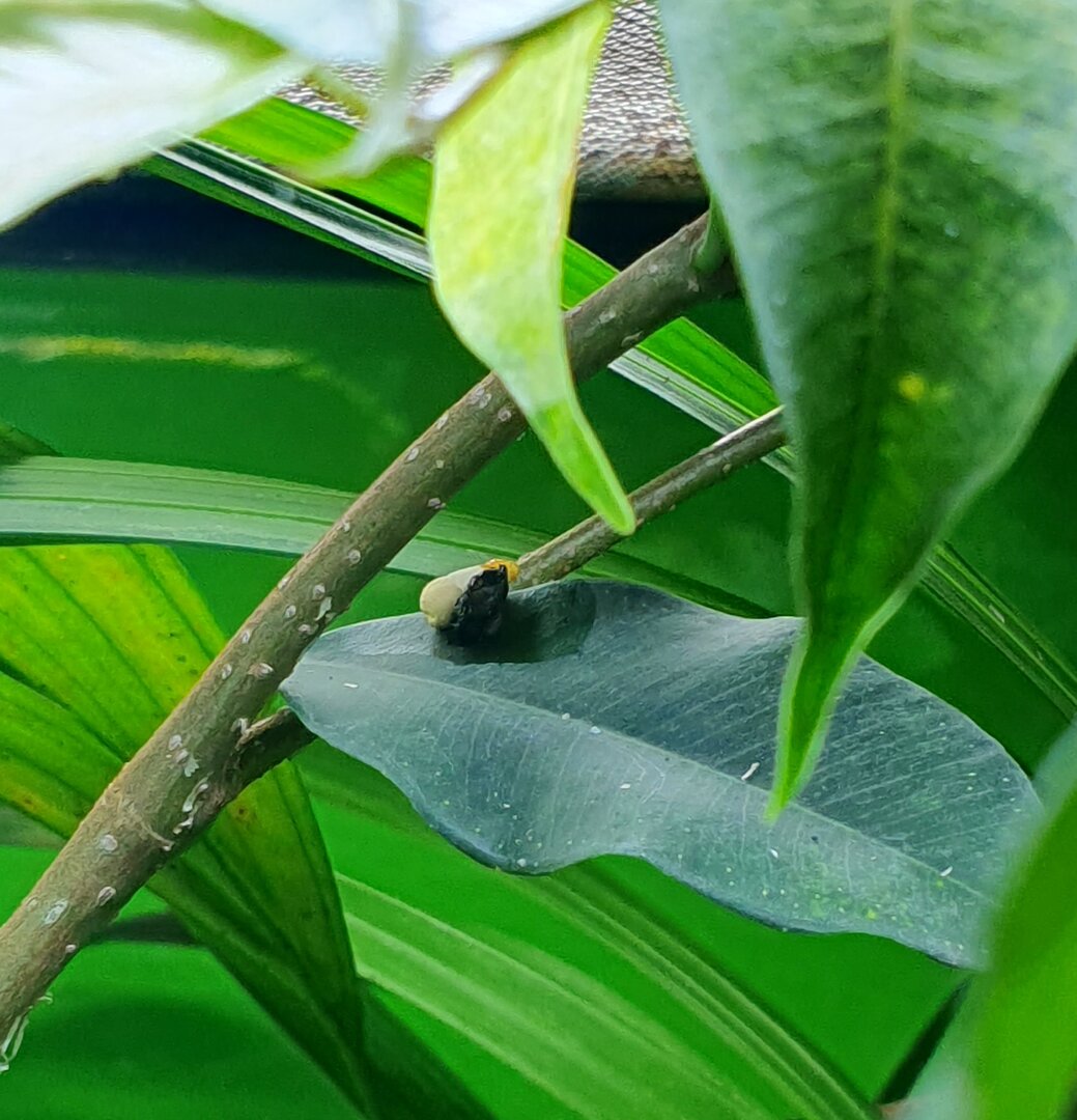 20230821_183639.jpg