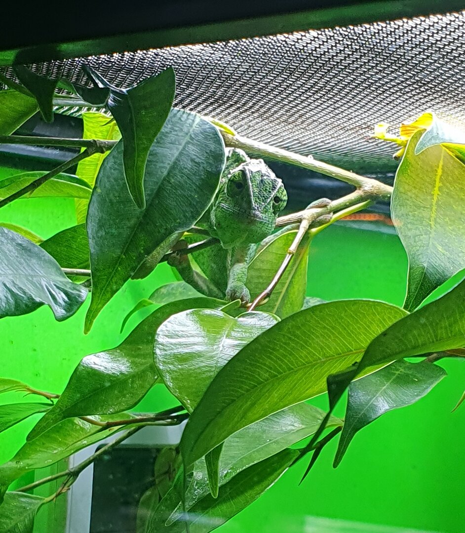 20230904_161230.jpg