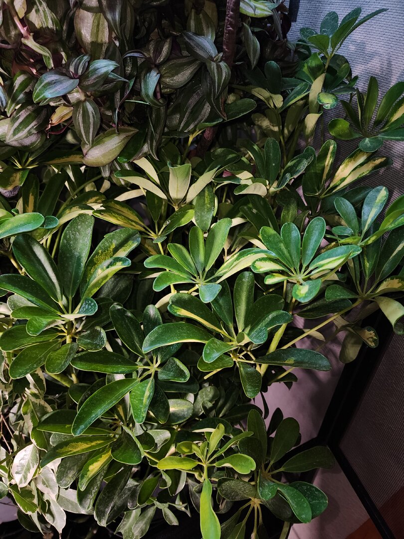 20231021_185123.jpg