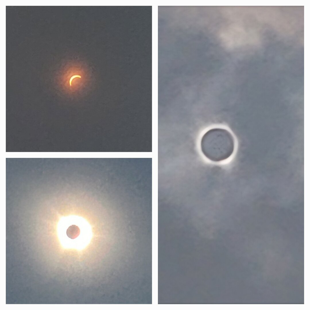 20240408_135428.jpg