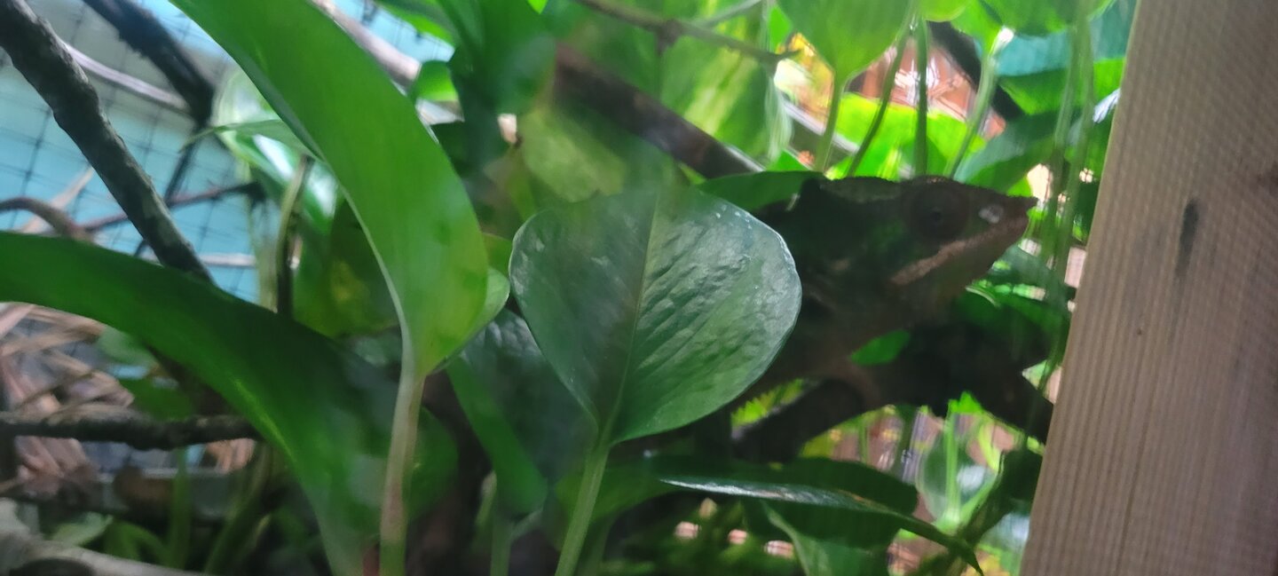 20240414_103210.jpg