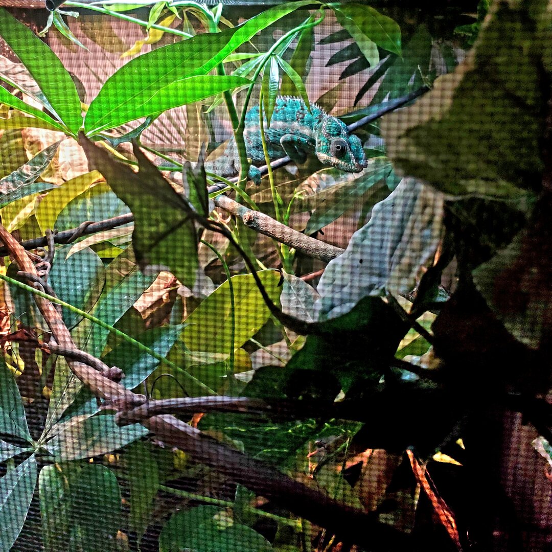 20250328_101231.jpg