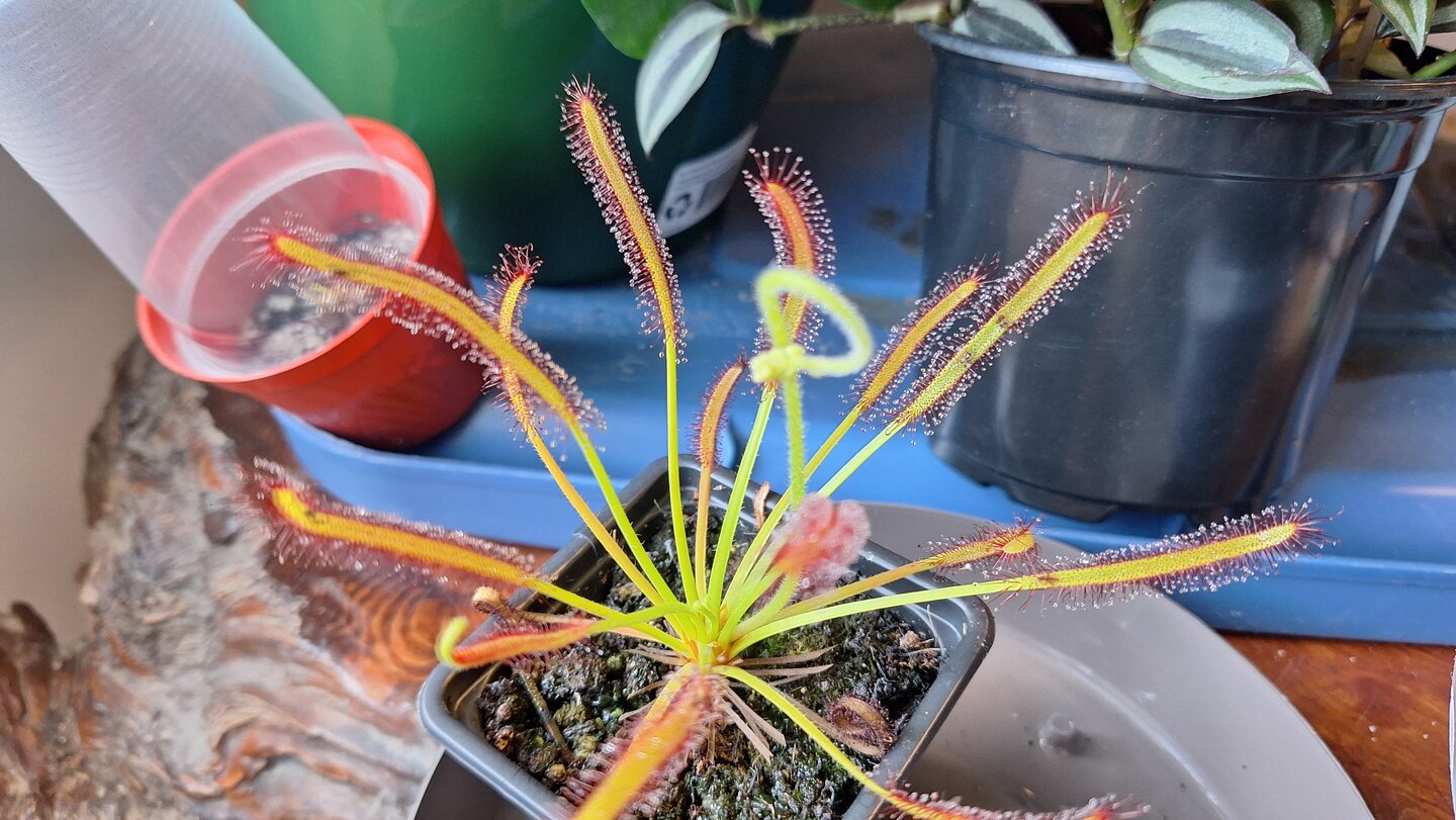 20250711_164810.jpg
