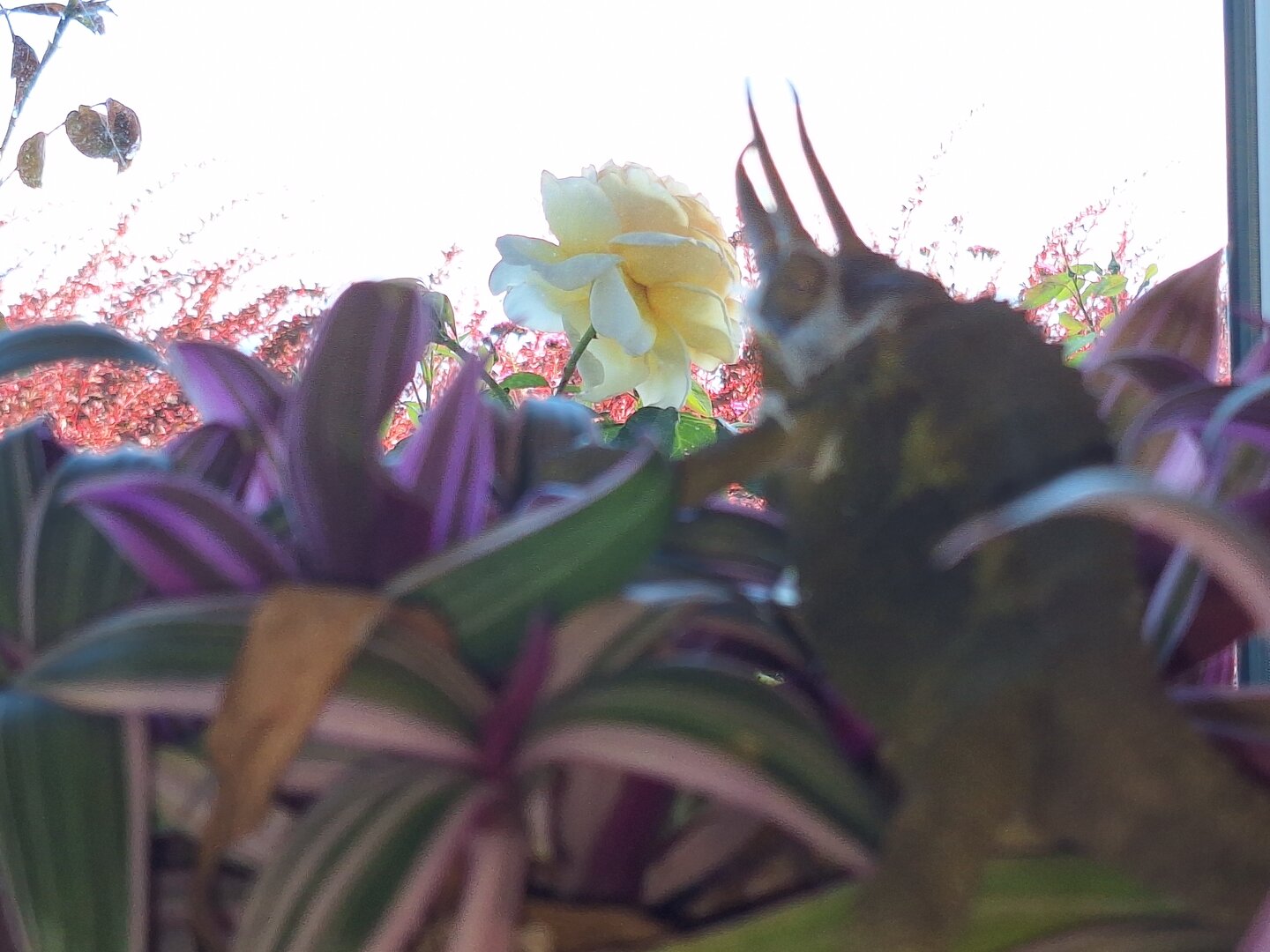 20260905_161358.jpg