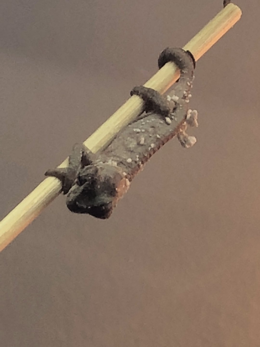 206B0757-E8F7-40B0-9D36-DDC408E83F86.jpeg