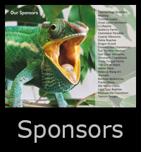 20sponsors.jpg