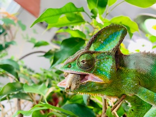 255D0876-81B3-4209-ABA7-D1DC144D1AFD.jpeg
