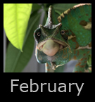 2february.jpg