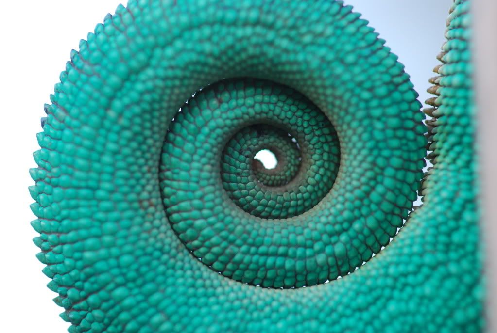 3391383A-913A-4107-8EEB-80AFD1E301C6.jpeg