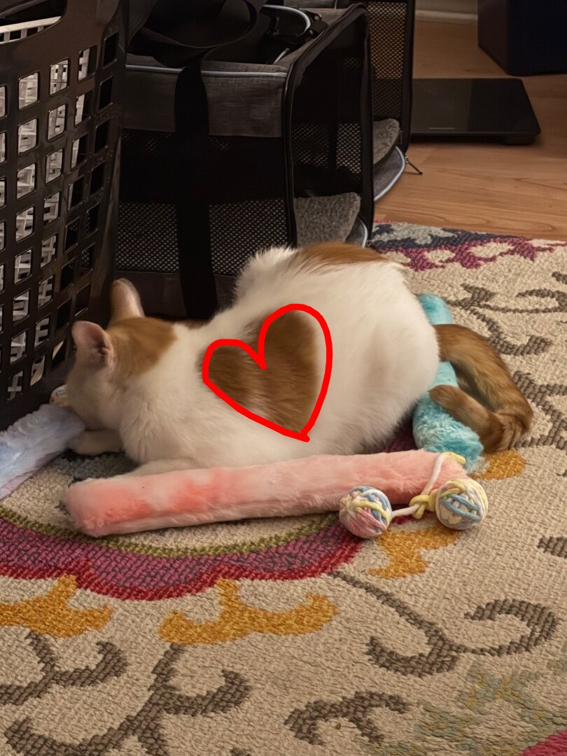 344317-8f06af5e3d575095c817f8553af8a2df (1).jpg