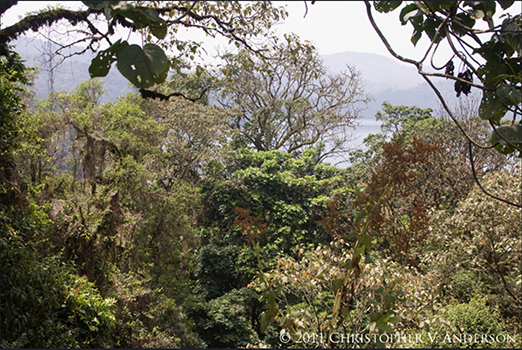 350 Crater Lake, Mount Oku, Northwest Region, Cameroon.jpg