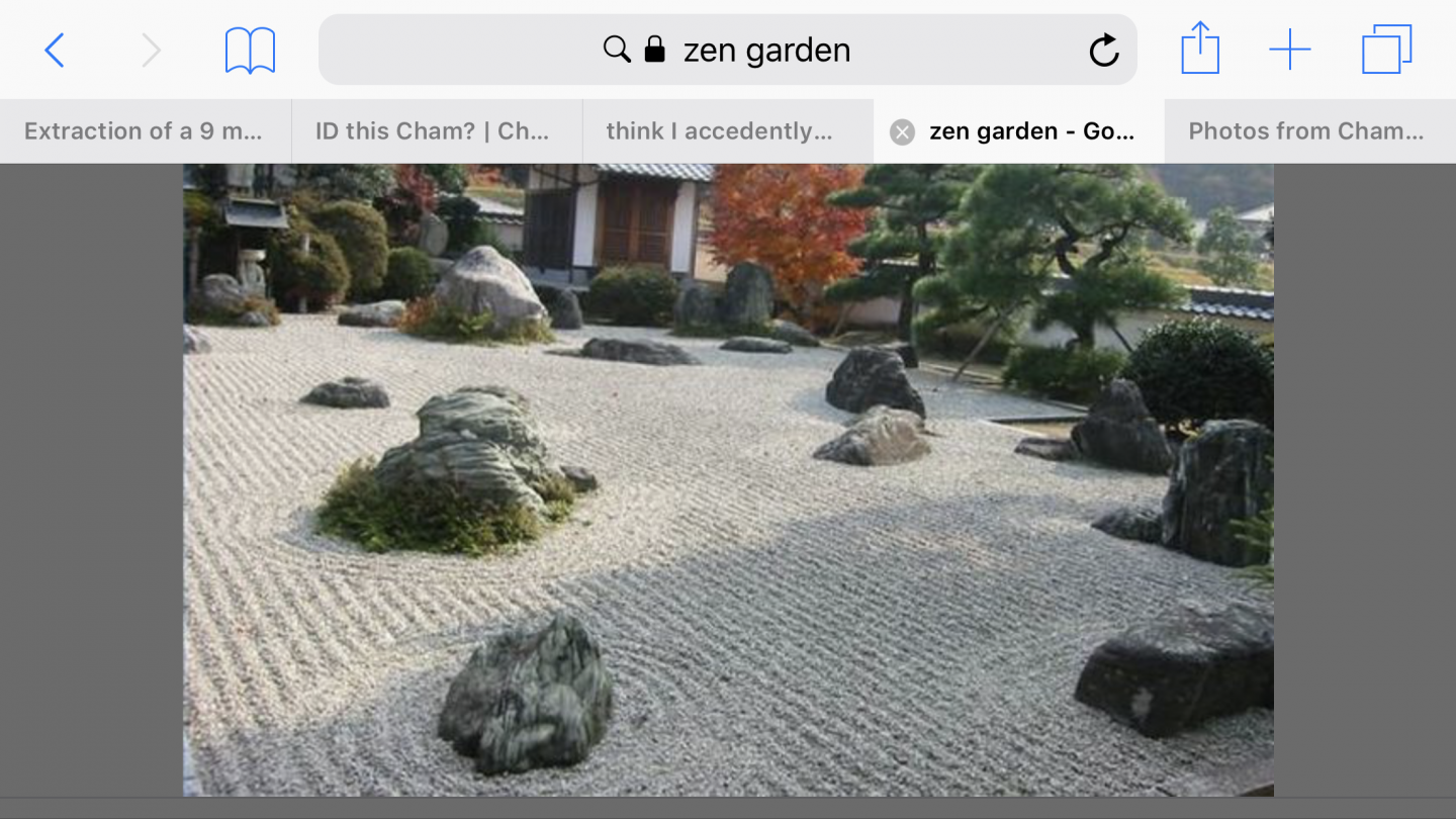 37C3D37E-23E6-4D3E-8037-1F5063CDF900.png
