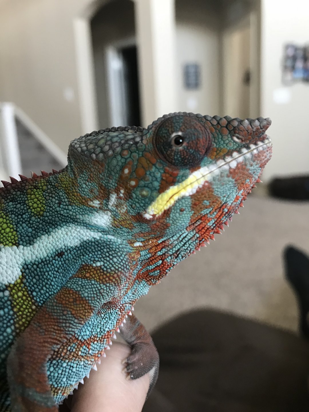 3E3C5D57-D278-4294-833E-923742A6991E.jpeg
