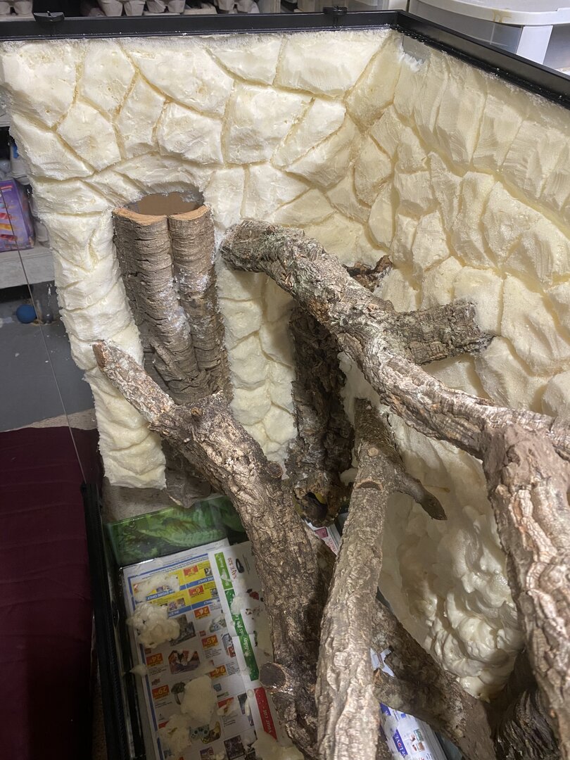 3EF6D401-779F-4D94-ABF4-C69678AB442D.jpeg