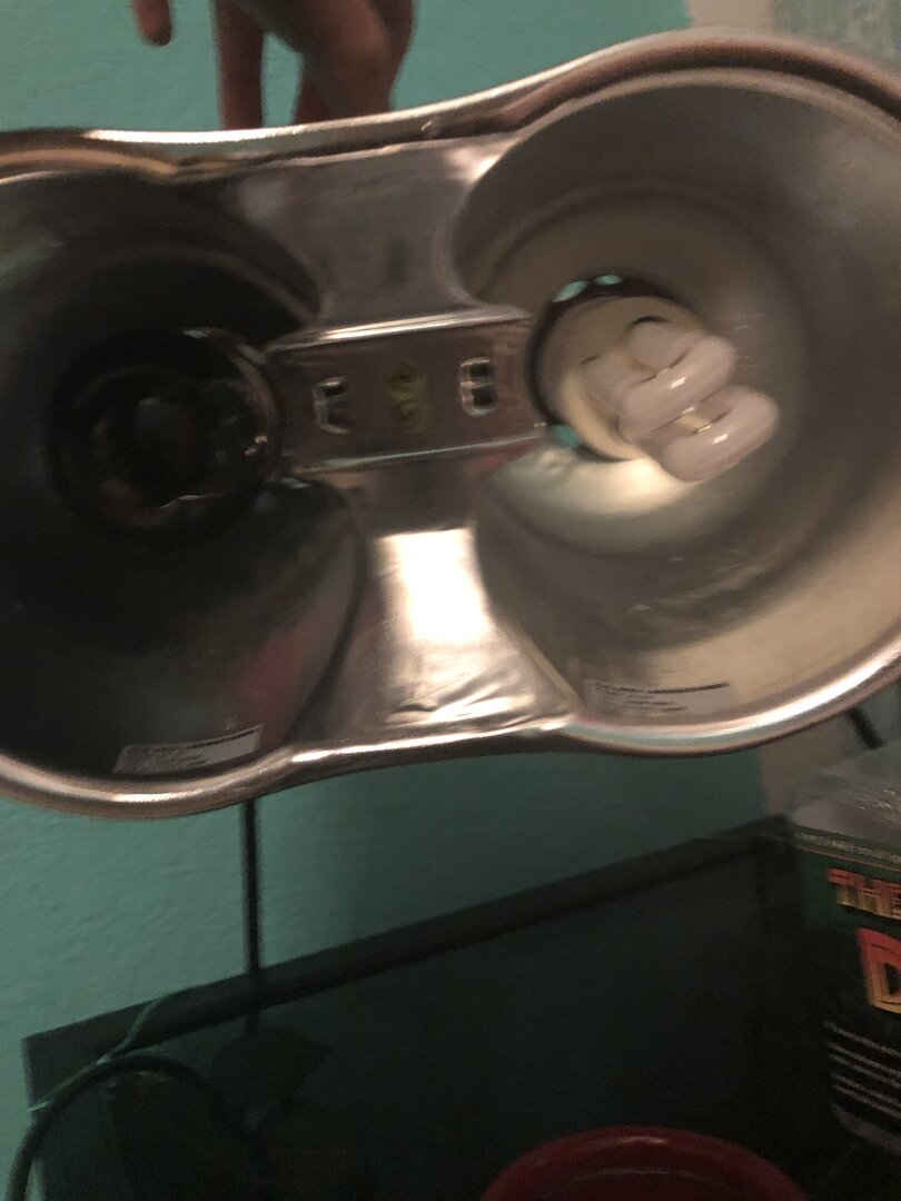 239960