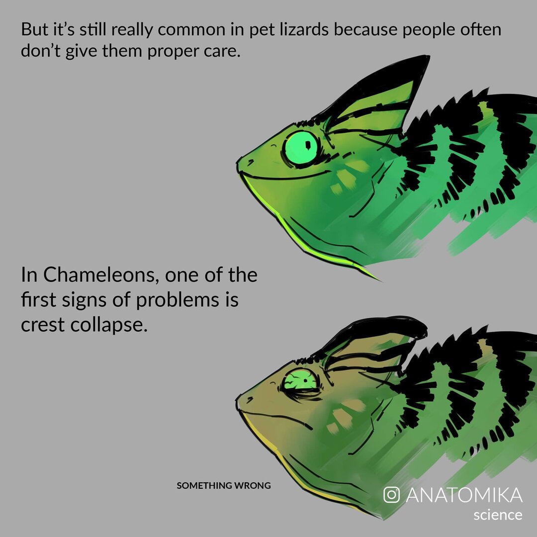 3FA275E4-D617-4683-B2F3-A038E3C977CD.jpeg