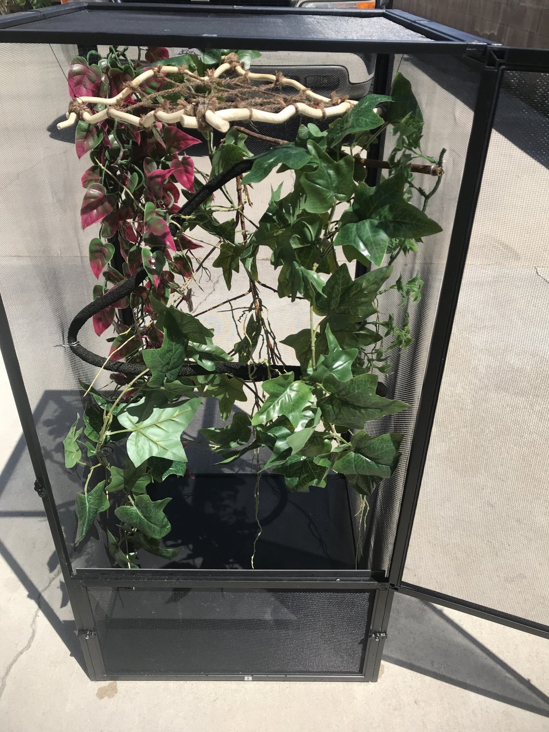 Cage setup | Chameleon Forums